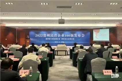 喜報！中偉股份榮登“2022貴州制造業(yè)民營企業(yè)20強(qiáng)”榜首